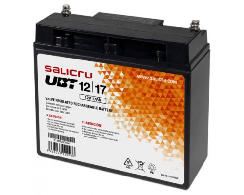 SALICRU BATERIA UBT 12/17  (PACK DE 2 UNIDADES)