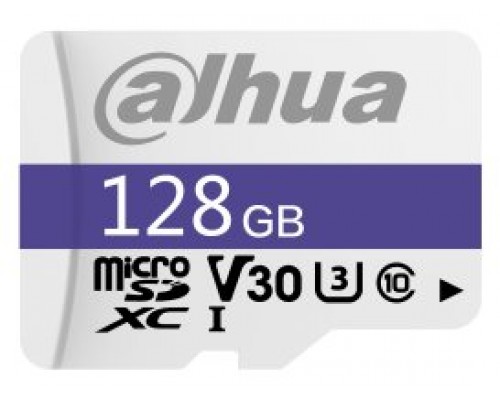 Dahua Technology C100 128 GB MicroSDXC UHS-I Clase 10