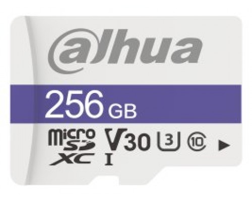 Dahua Technology C100 256 GB MicroSDXC UHS Clase 10