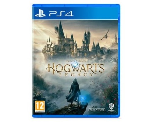 SONY-PS4-J HOGWARTS LEG STD