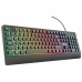 TECLADO TRUST 24098