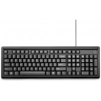 TECLADO HP 100 NEGRO USB