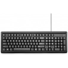 TECLADO HP 100 NEGRO USB