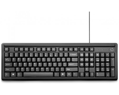 TECLADO HP 100 NEGRO USB