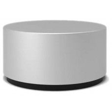 SURFACE DIAL                   PERP