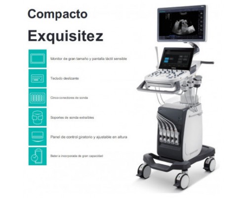 SONOSCAPE ECOGRAFO P10 C-FIELD BEAM, U-SCAN, COLOR DINAMICO HD FLOW, IMÁGENES ESPECIFICAS DE TEJIDOS