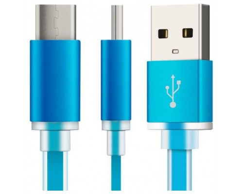 Cable plano carga USB 3.1 Tipo C Azul