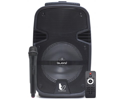 Altavoces Autoamplificados 250W TS8" Biwond Thundersound