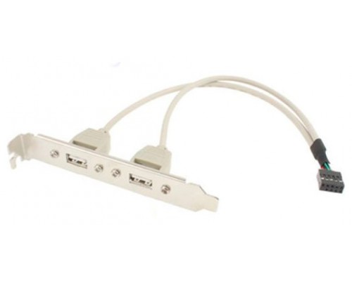 Bracket Doble USB 2x5 Pines