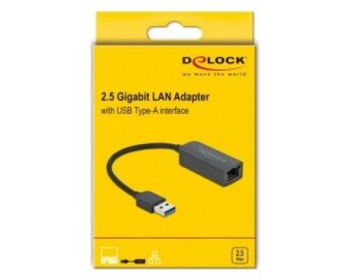 Delock Adaptador USB 3.1 A macho RJ45 2,5 Gigabit