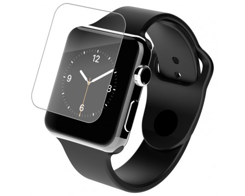 APPLE WATCH (42MM)             ACCS