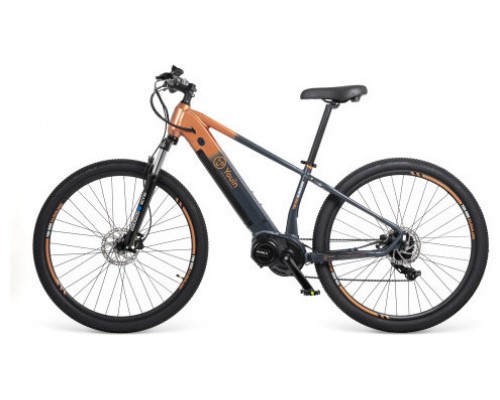 Bicicleta electrica youin you - ride kilimanjaro motor