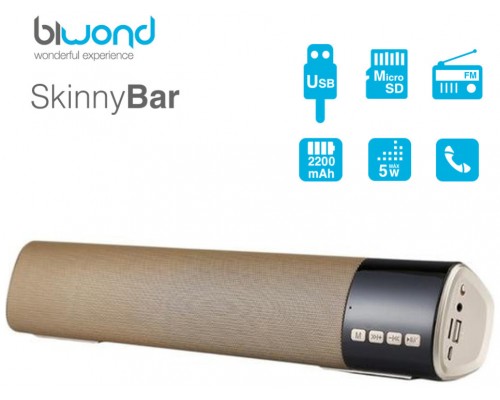 Barra de Sonido 10W SkinnyBar Biwond Oro