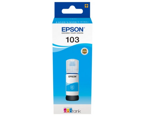 TINTA EPSON C13T00S24A10