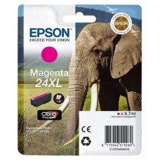 TINTA EPSON C13T24334012