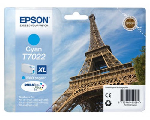 TINTA EPSON C13T70224010