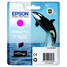 EPSON SURECOLOR SC-P600 Cartucho magenta vivo