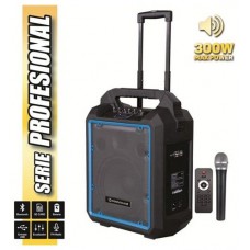 Altavoz Autoamplificado PRO300 10" 300W con Batería + MICRO serie PRO COOLS Negro