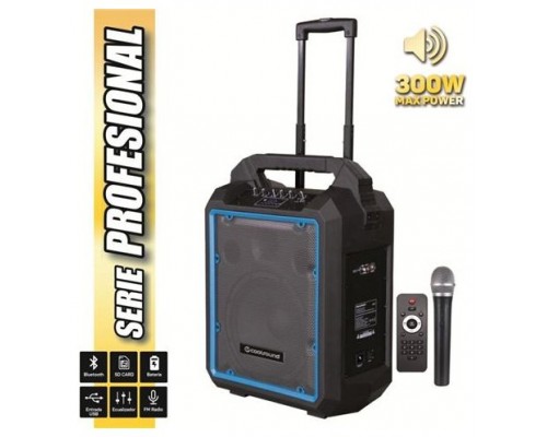 Altavoz Autoamplificado PRO300 10" 300W con Batería + MICRO serie PRO COOLS Negro