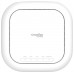 D-Link DBA-X2830P AP WiFi AX3600 Cloud (Lic 1a)