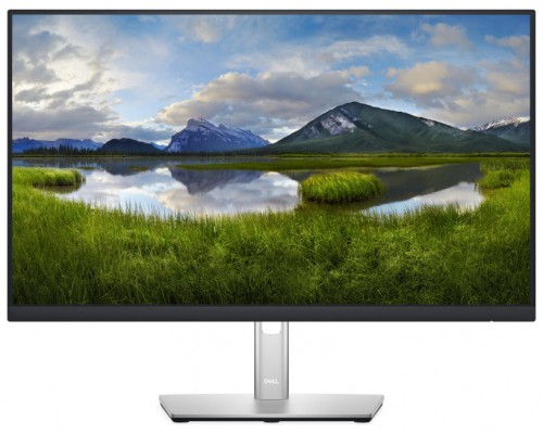 MONITOR DELL P2422H 23,8" IPS FHD 8MS VGA HDMI DP USB AJUSTABLE NEGRO