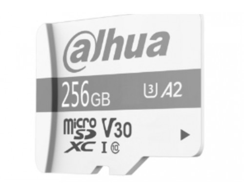 MICRO SD DAHUA P100 256GB SURVEILLANCE