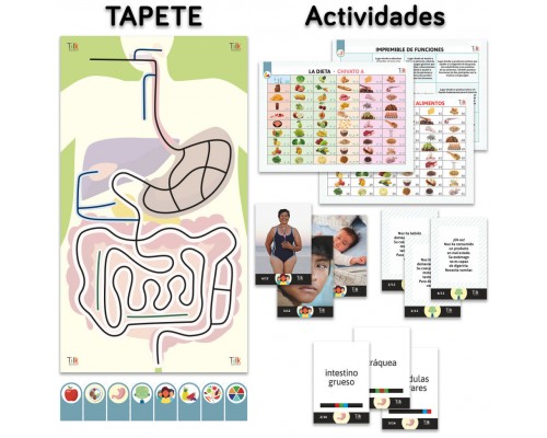 Pack aparato digestivo tilk ozobot tapete