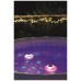 Bestway 58419 -  luz led flotante