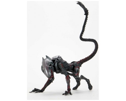 Figura neca night cougar alien scale