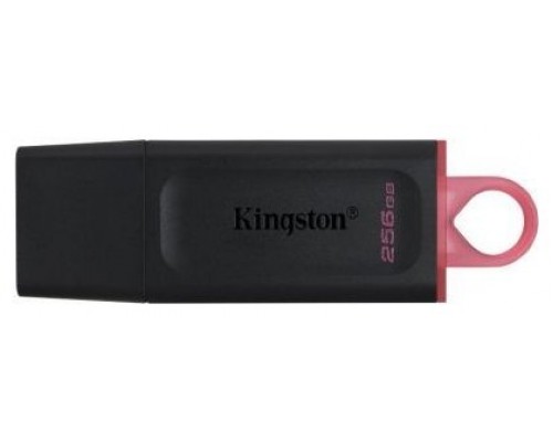 Kingston Technology DataTraveler Exodia unidad flash USB 256 GB USB tipo A 3.2 Gen 1 (3.1 Gen 1) Negro