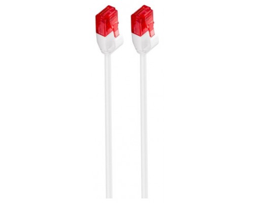 Ewent IM1035 cable de red 0,25 m Cat6 U/UTP (UTP) Blanco