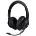 DELUXE USB HEADSET W/MIC ON    ACCS