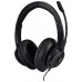 DELUXE USB HEADSET W/MIC ON    ACCS