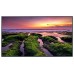 (NUEVO 2022) MONITOR SAMSUNG DIGITAL SIGNAGE UHD 65" (QB65R-E) / 3840x2160(16:9) /4700:1 /350CD/M2 / USO 16/7 /DVI-D / HDMI (2) / HDCP / USB (2) / IN-OUT JACK ST / RS232C(IN/OUT), RJ45/SOC / SSSP 6.0/ MM / WIFI+BT (LH65QBBEBGCXEN)