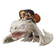 Funko pop harry potter harry ron