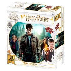 Puzzle 3d lenticular harry potter harry