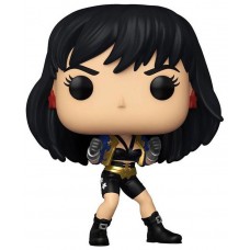 Funko pop dc wonder woman 80th