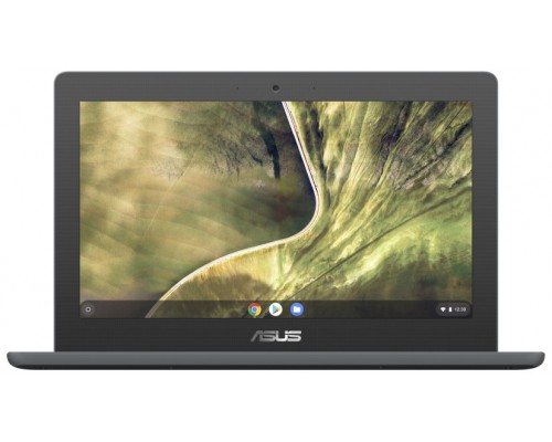 Portatil asus chromebook c204ma - gj0342 cel n4020