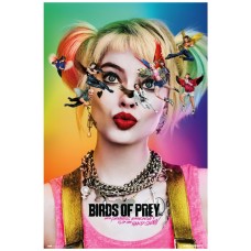 Poster birds of prey dazed and