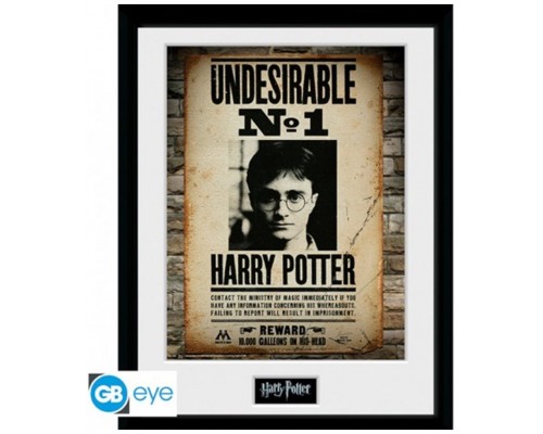 Poster enmarcado gb eye harry potter