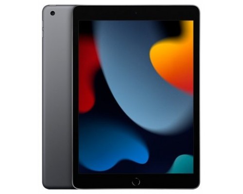 IPAD WI-FI 64GB SPG