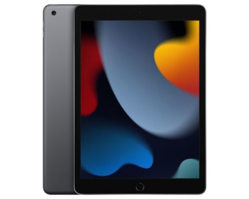 IPAD APPLE 2021 256 GS 4G