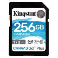 Kingston Technology Canvas Go! Plus memoria flash 256 GB SD Clase 10 UHS-I