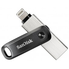 SanDisk SDIX60N-256G-GN6NE unidad flash USB 256 GB 3.2 Gen 1 (3.1 Gen 1) Gris, Plata