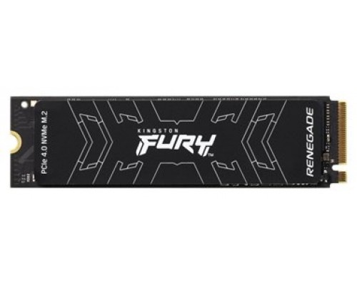 DISCO DURO SOLIDO KINGSTON FURY RENEG 500GB DS