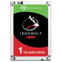 IRONWOLF 1TB NAS               INT