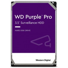 10TB PURPLE PRO 256MB          INT