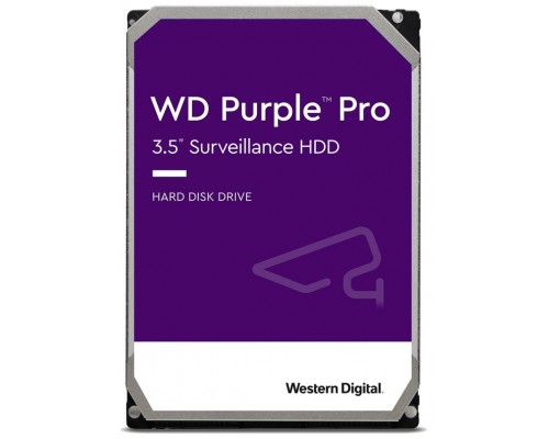 10TB PURPLE PRO 256MB          INT